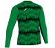Воротарська форма зелена JOMA DERBY IV 101301.451