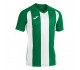 Футболка зелено-біла JOMA PISA II 102243.452