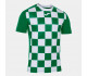 Футболка зелено-біла JOMA FLAG II 101465.452